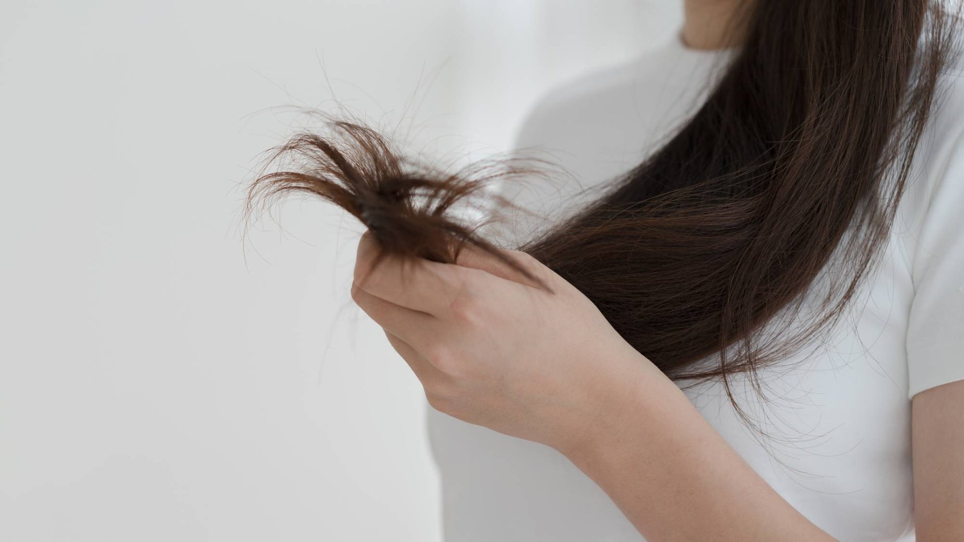 Haarpflege Gegen Spliss Banner