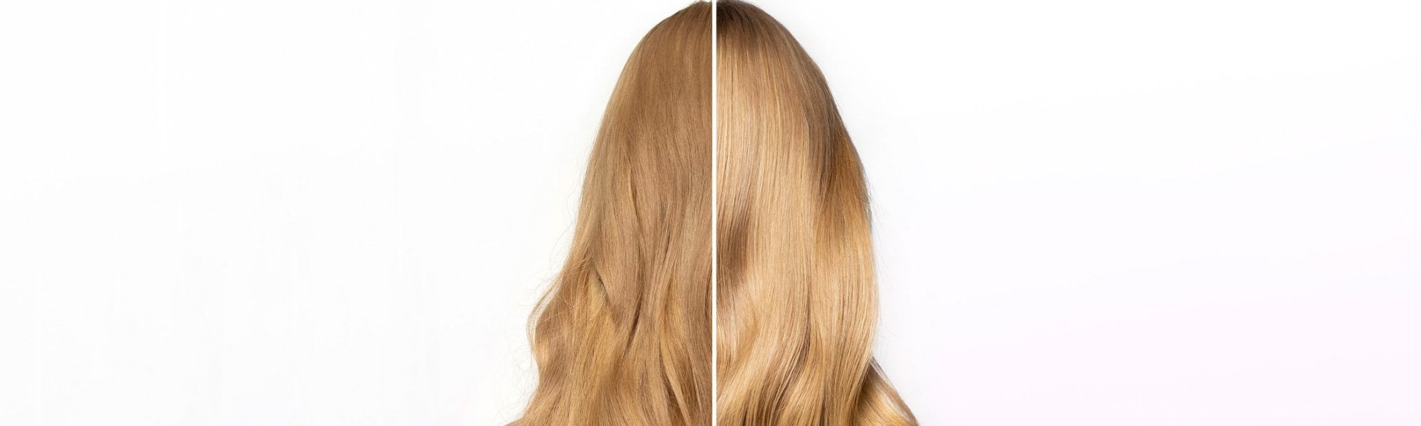 Kopf von hinten einer Frau mit langen blonden Haaren - vorher / nachher Anwendung Haarspitzenfluid