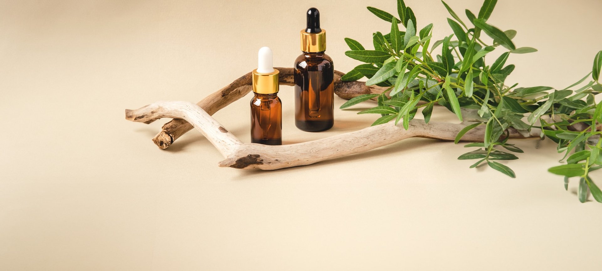 Stillleben aus Ampullen einigen kleinen Ästen und Zweigen