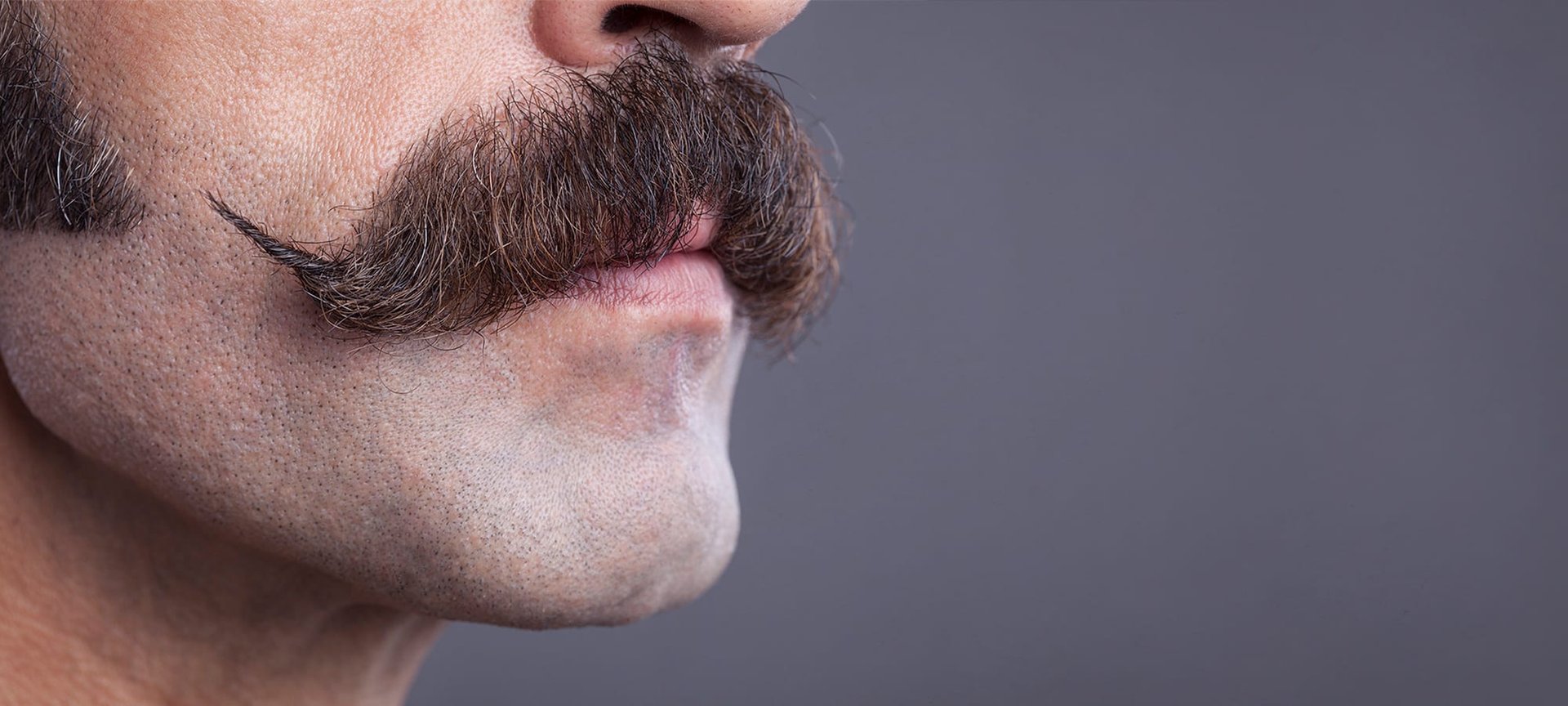 Oberlippenbart im Fokus