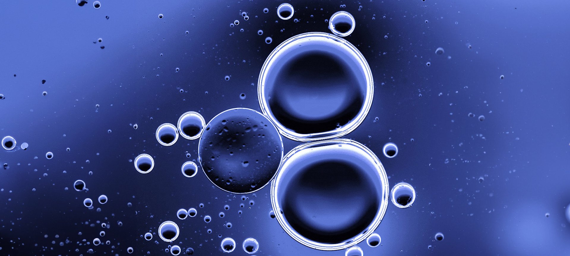 Nahaufnahme von Zellen