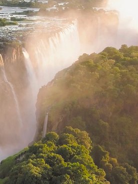 Wasserfall umgeben von Bäumen