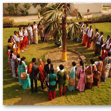 Eine Gruppe Frauen bildet einen Kreis um einen Baum