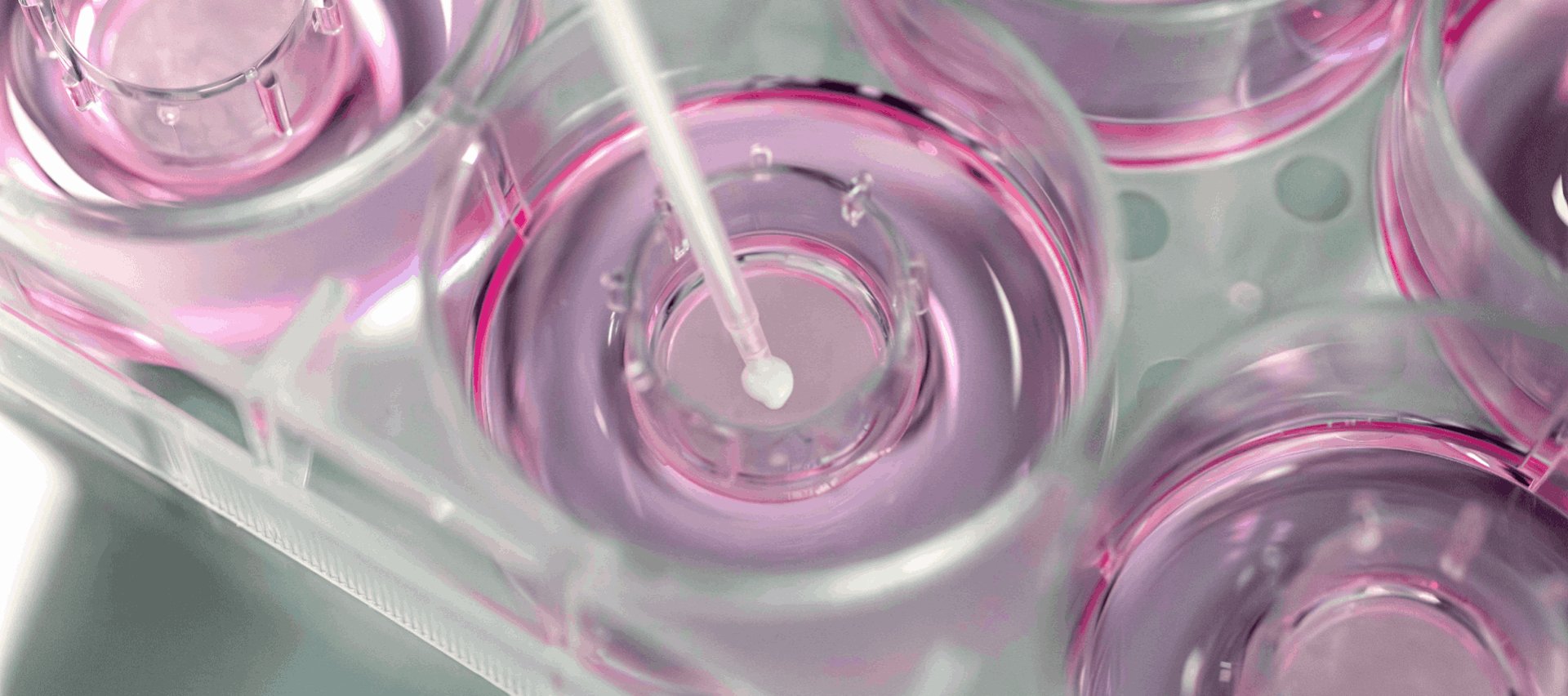 Flüssigkeiten im Labor