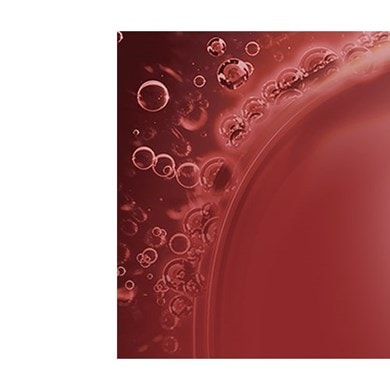 Elvital Full Resist Power Booster Spülung - Produktabbildung