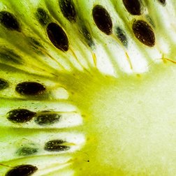 Nahaufnahme einer Kiwi