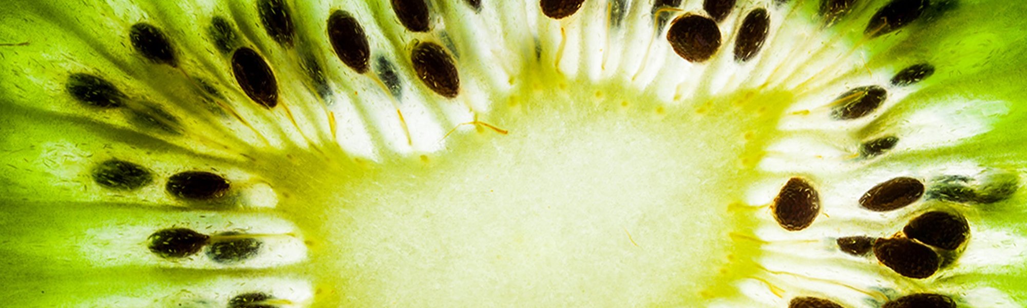 Nahaufnahme einer Kiwi