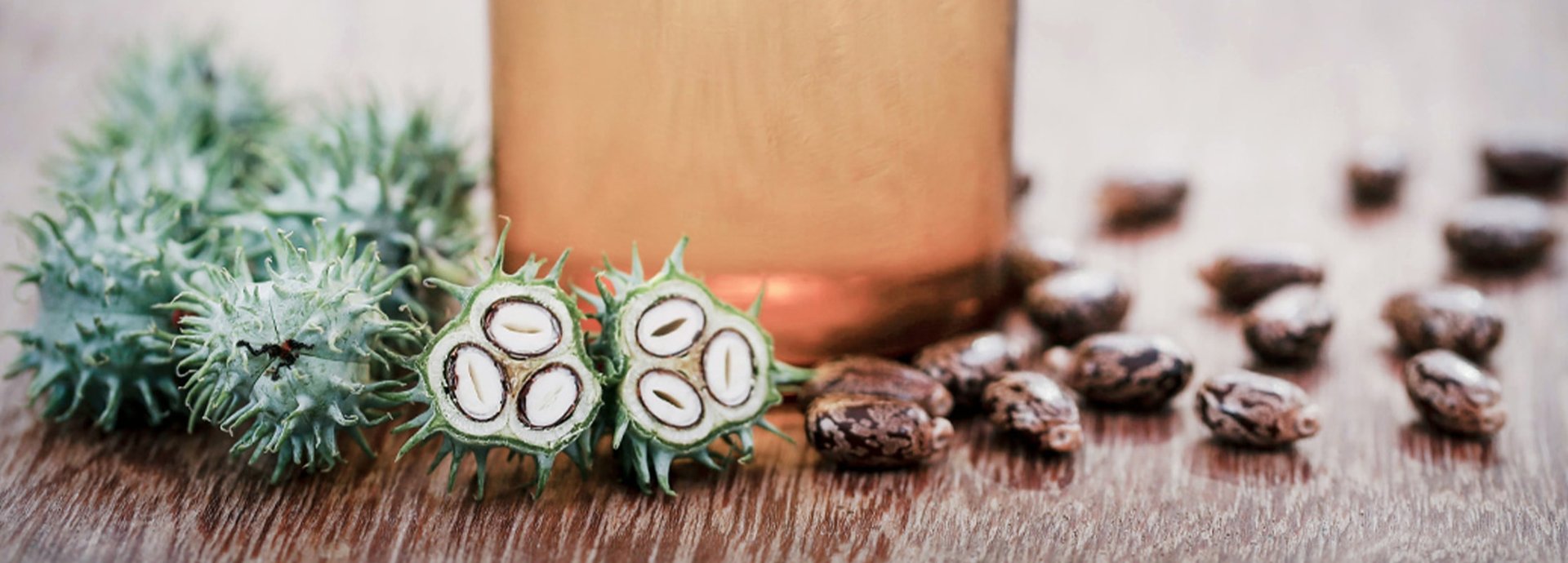 Teils aufgeschnittene Rizinus-Früchte sowie Rizinus-Samen auf braunem Tisch