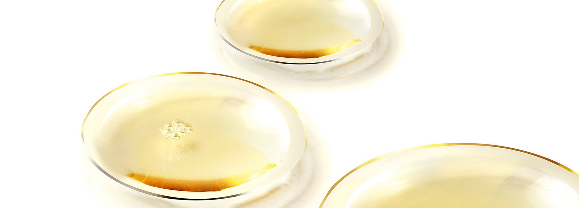 Petrischalen mit flüssigem Vitamin B6