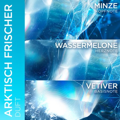 Duftnoten des arktisch frischen Dufts mit Minze, Wassermelone und Vetiver.