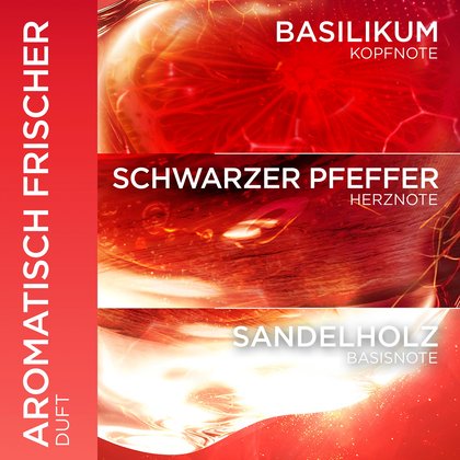 Duftpyramide des aromatisch frischen Dufts mit Basilikum, Pfeffer und Sandelholz.