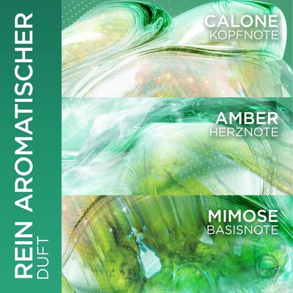 Duftbeschreibungsgrafik mit dem Titel „REIN AROMATISCHER DUFT“ auf grünem Grund mit den Duftnoten Calone (Kopfnote), Amber (Herznote) und Mimose (Basisnote)