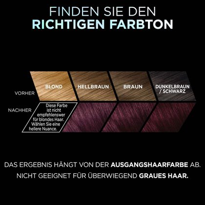 Preference Vivid Colors Dark Purple Farbpalette