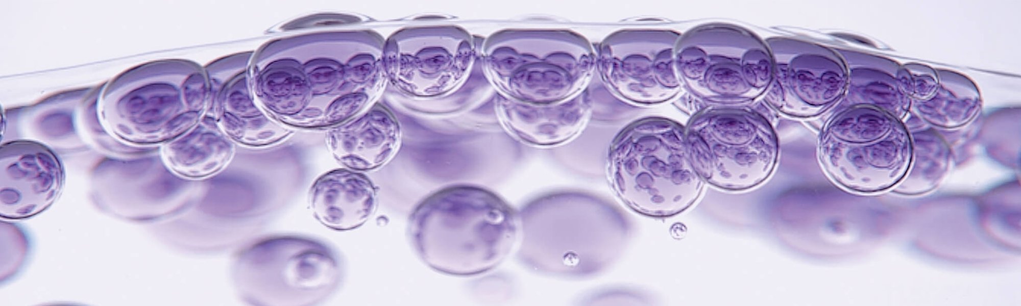 Mikroskopisch vergrößerte lila Bläschen als Darstellung von Hyaluronsäure
