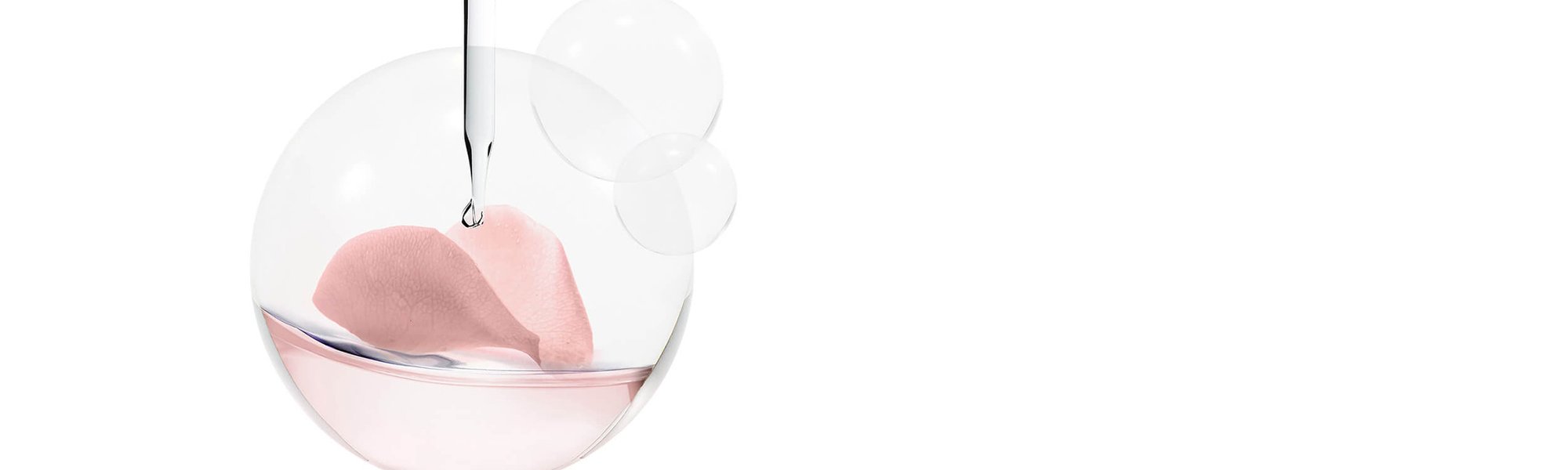 Bildhafte Darstellung einer Petrischale mit rosa Flüssigkeit und Geranien-Blüte